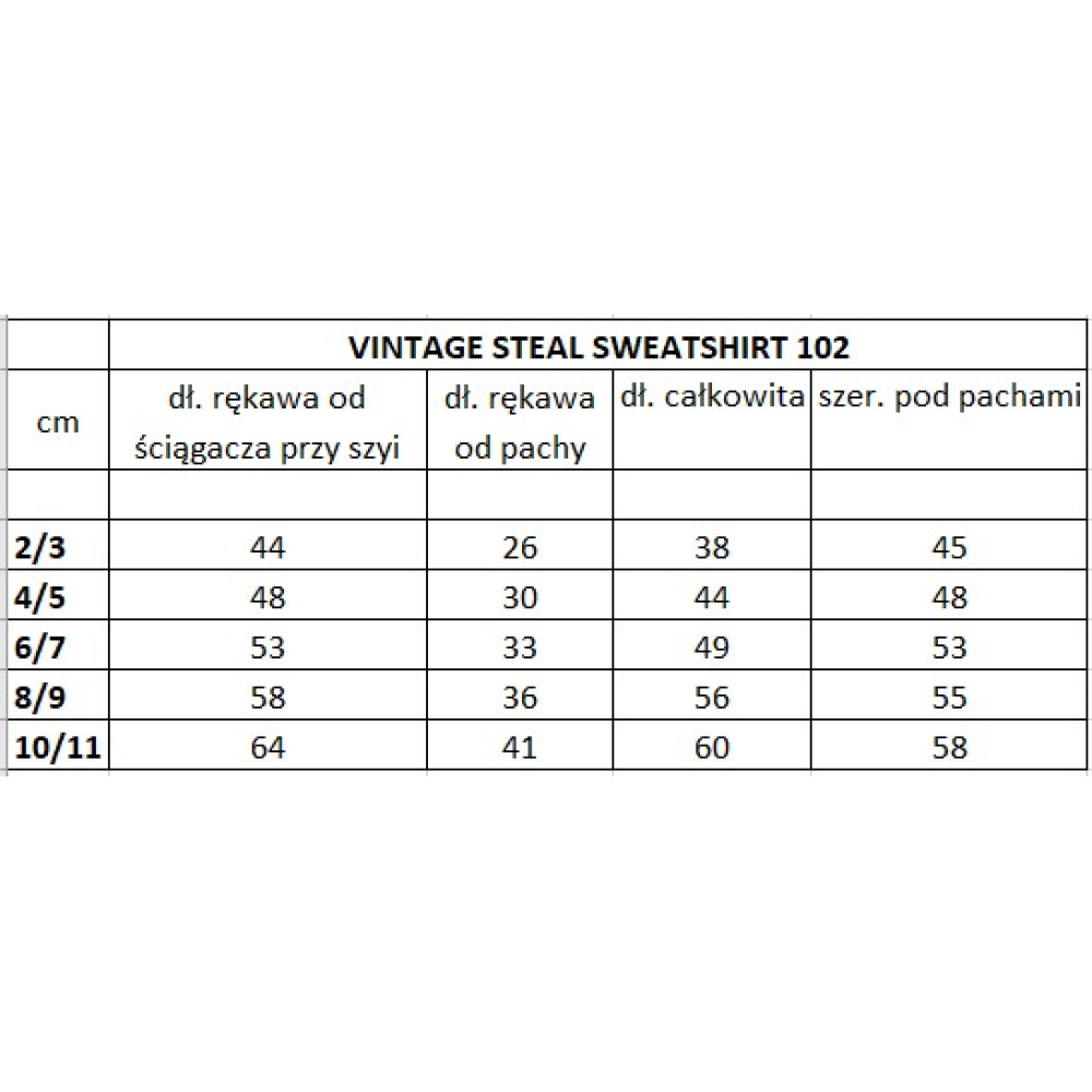 Bluza Vintage Steel
