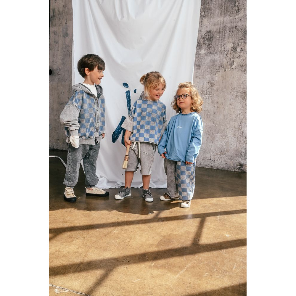 Bluza rozpianana Checked Light Gray Blue Hoodie