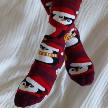 Socks Land of Penguins