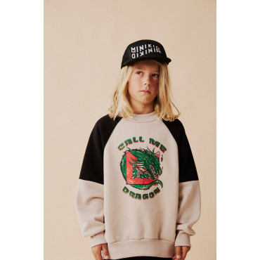 Dragon Sweatshirt