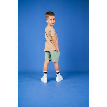 Olive Shorts